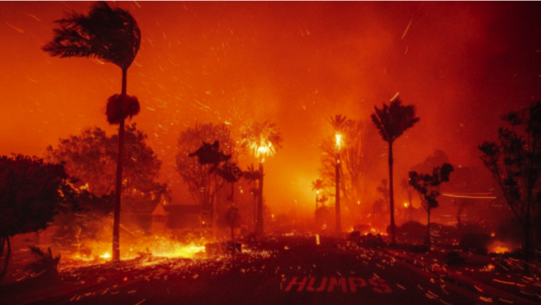 The Impacts of the California Fires